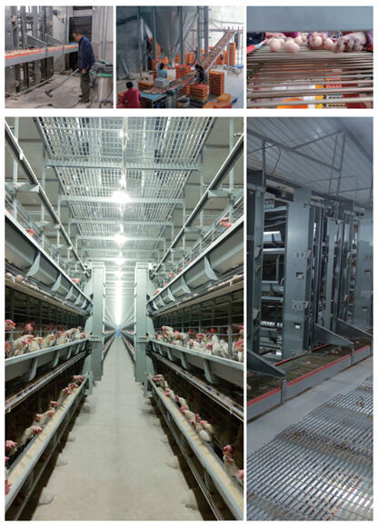 Layer project In Sichuan Province