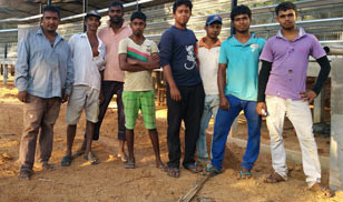 31,800 Brids Layer Project In Bangladesh