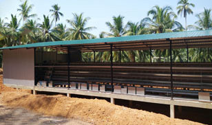 31,800 Brids Layer Project In Bangladesh