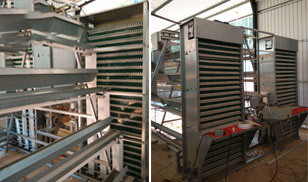 31,800 Brids Layer Project In Bangladesh
