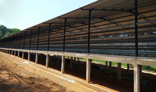 31,800 Brids Layer Project In Bangladesh