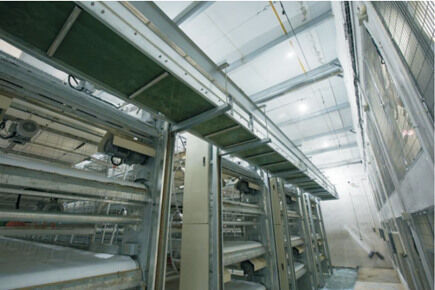Broiler Project In Luohe City China