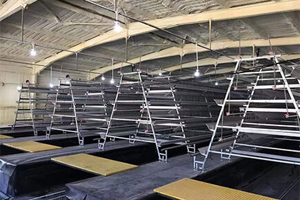 Layer Project In SouthEast Asia