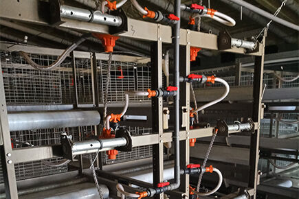 Broiler Project In Shanxi Province China