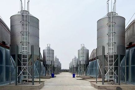 Broiler Project In Shanxi Province China