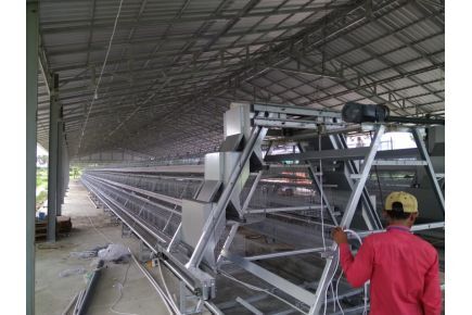 Breeder Cage Project In WesAfrica
