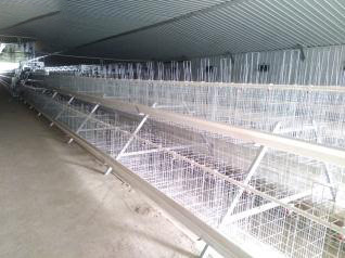 Breeder Cage Project In WesAfrica
