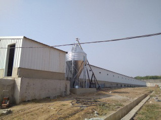 Breeder Cage Project In WesAfrica