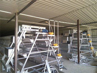 20200612_152419(1).jpg Breeder Cage Project In WesAfrica