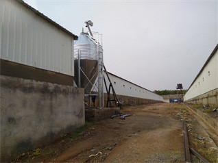 20200612_152422(1).jpg Breeder Cage Project In WesAfrica