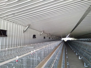 Breeder Cage Project In WesAfrica