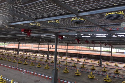 20221205_155129.png Turnkey Broiler Farm In Qatar