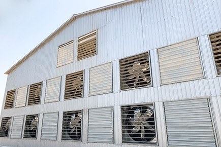 20221205_155950.png Turnkey Broiler Farm In Qatar