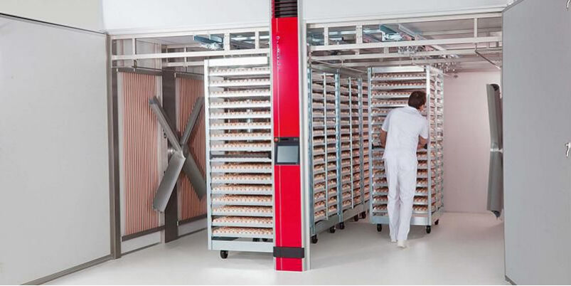 Egg Incubator
