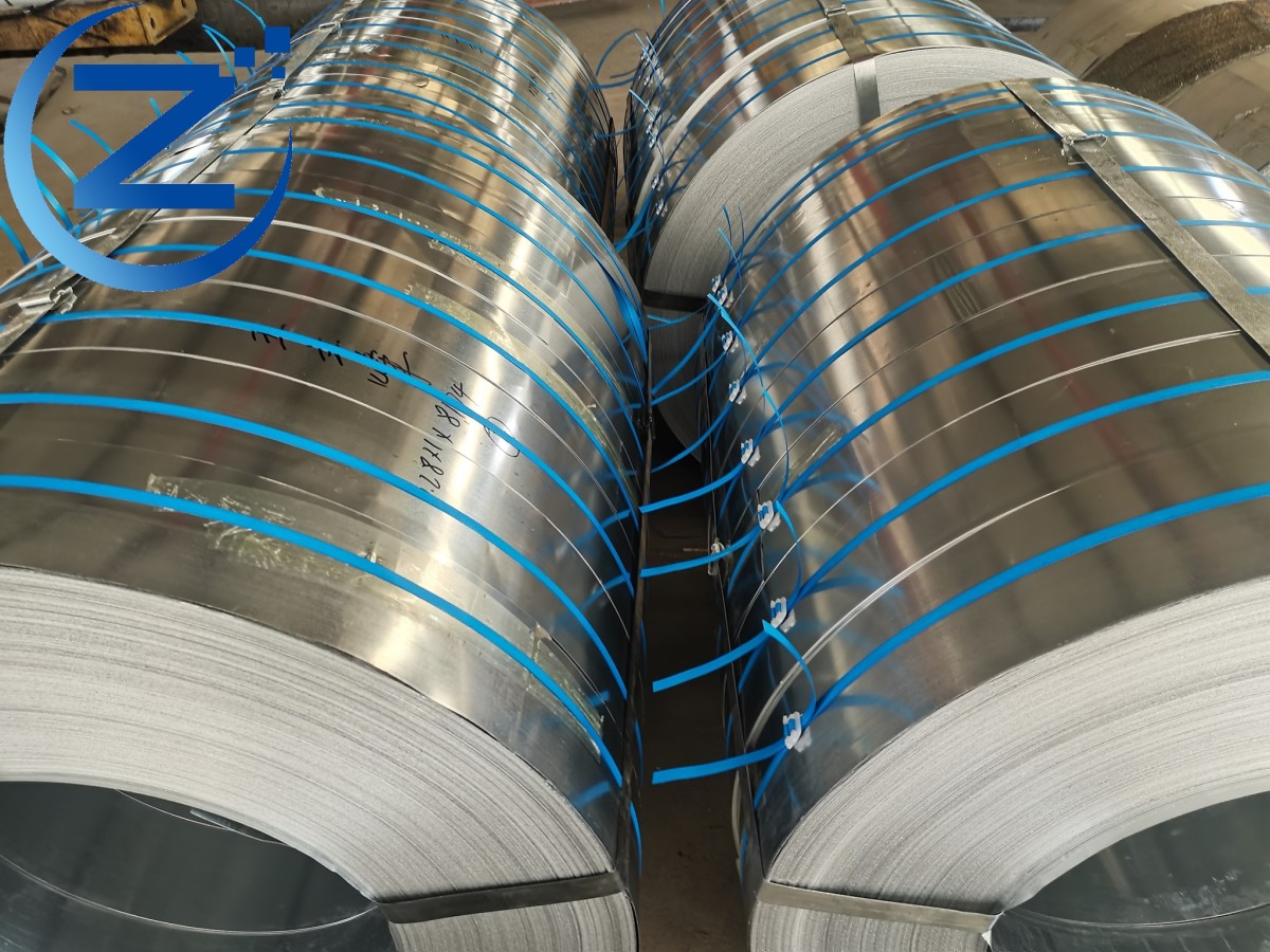 Stainless Steel Strip