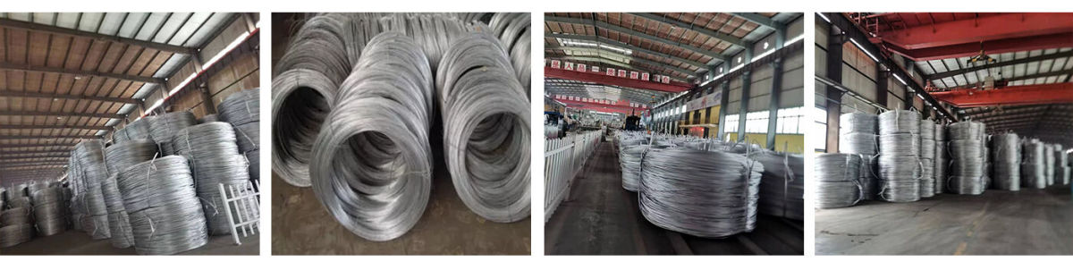 Galvanized Wire