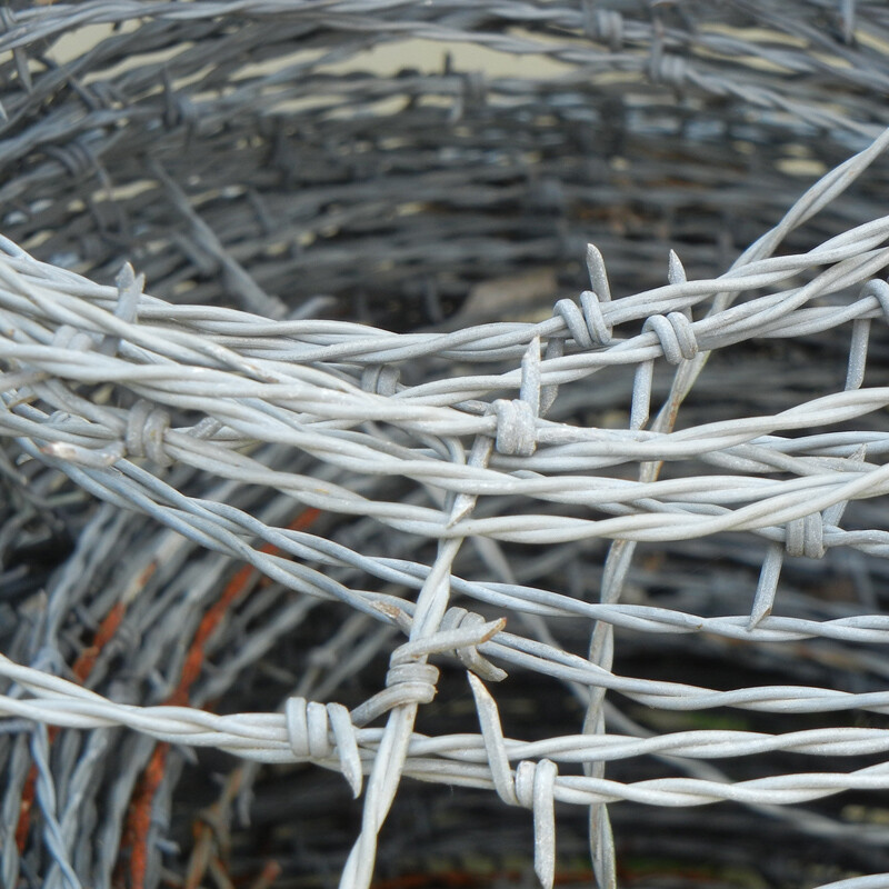 Barbed Wire