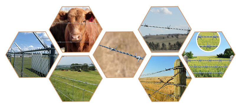 Uses1.jpg Barbed Wire