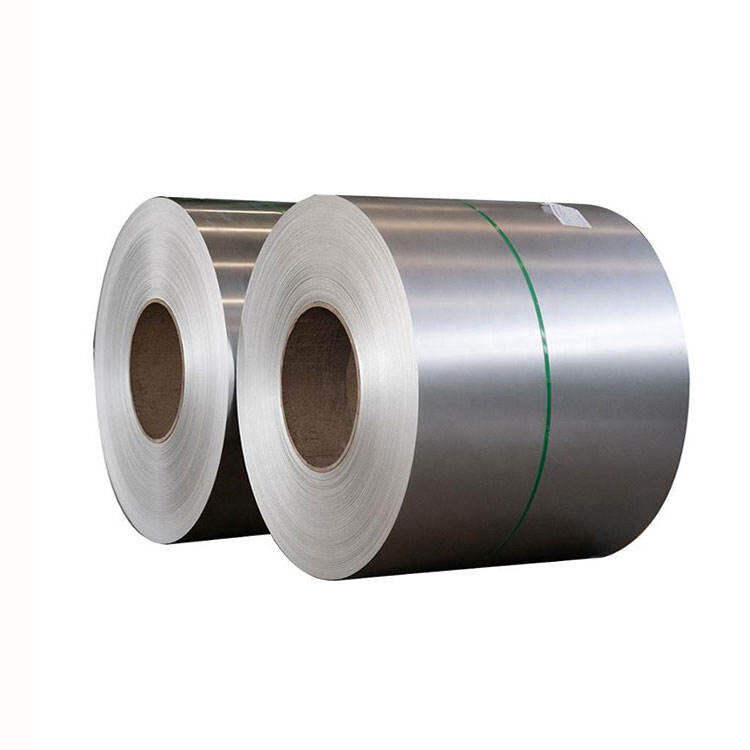 Hastelloy coil