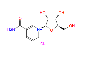 NR-CL