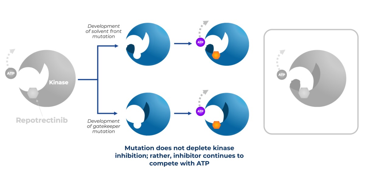 Repotrectinib/TPX-0005