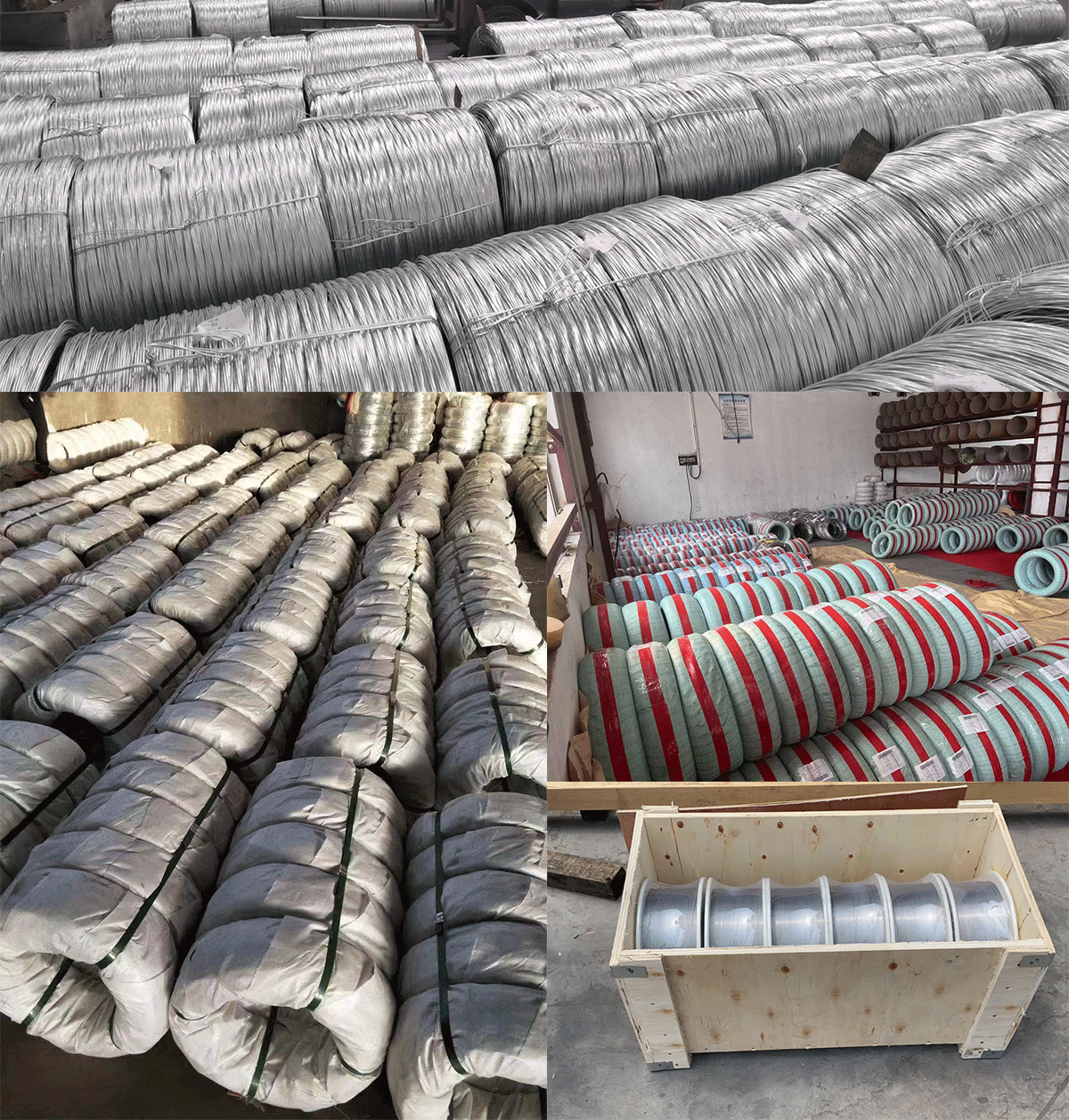 1.gif 304 Stainliss Steel Wire