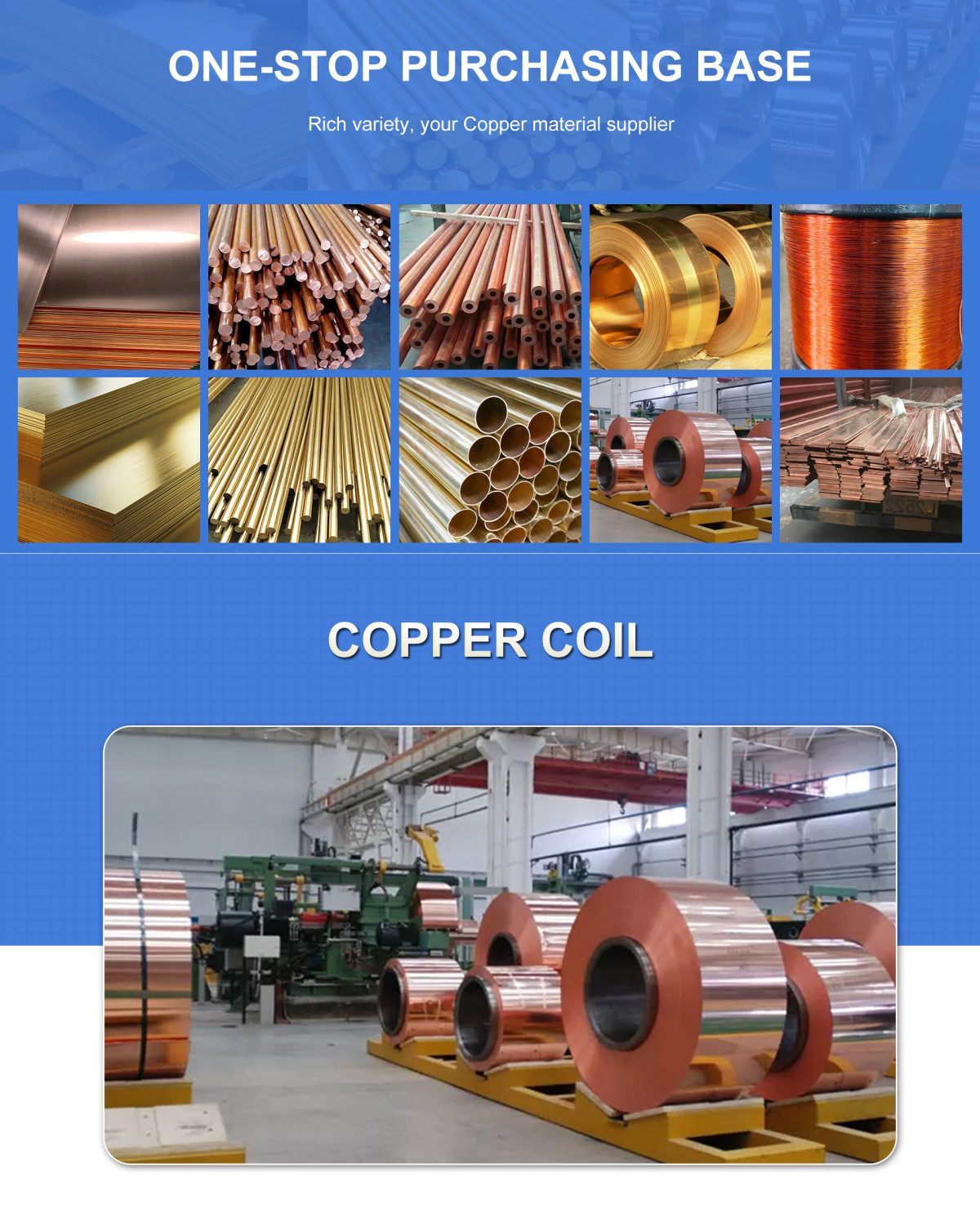 C62300 aluminum bronze Coil/Strip