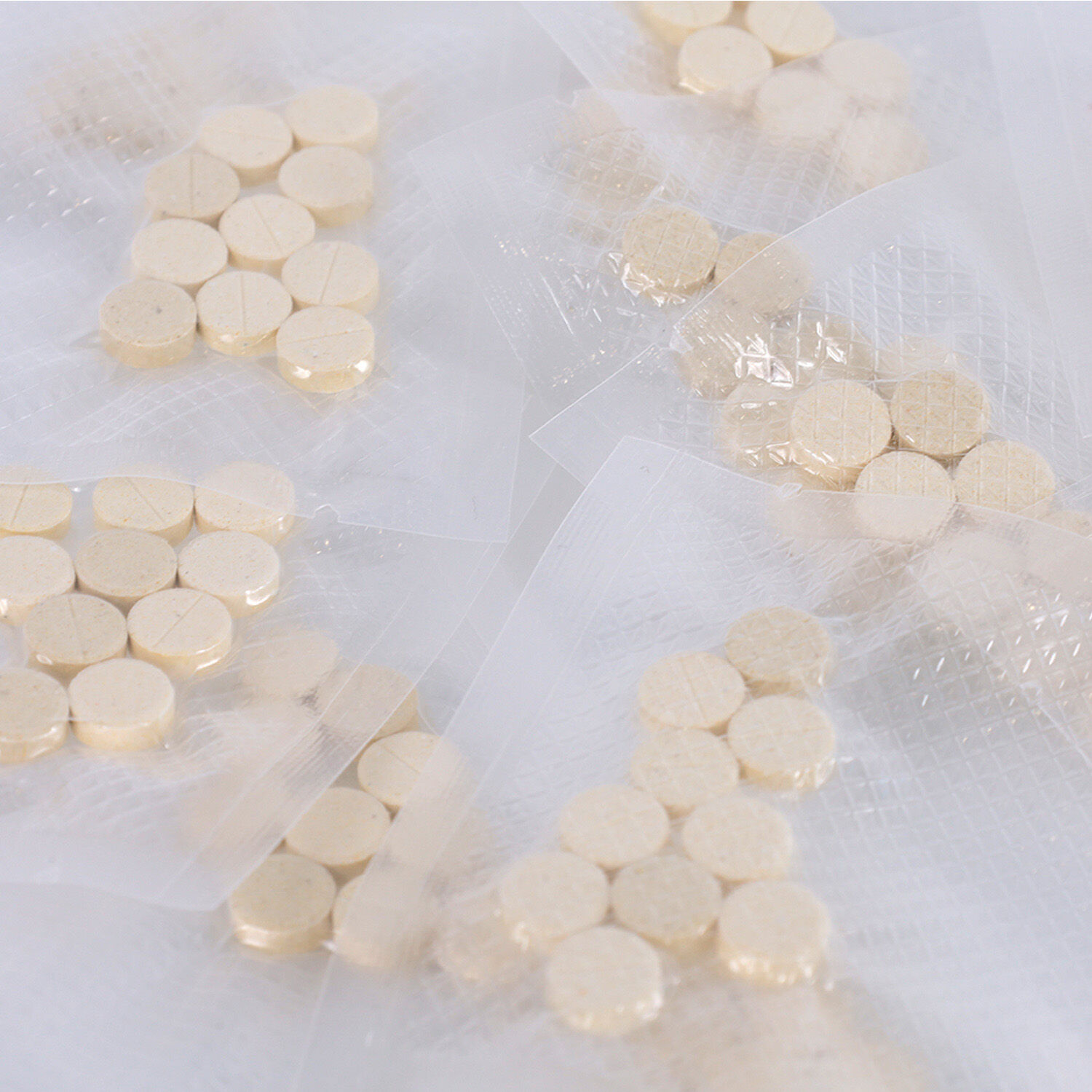 GS441524 pills for cat fip