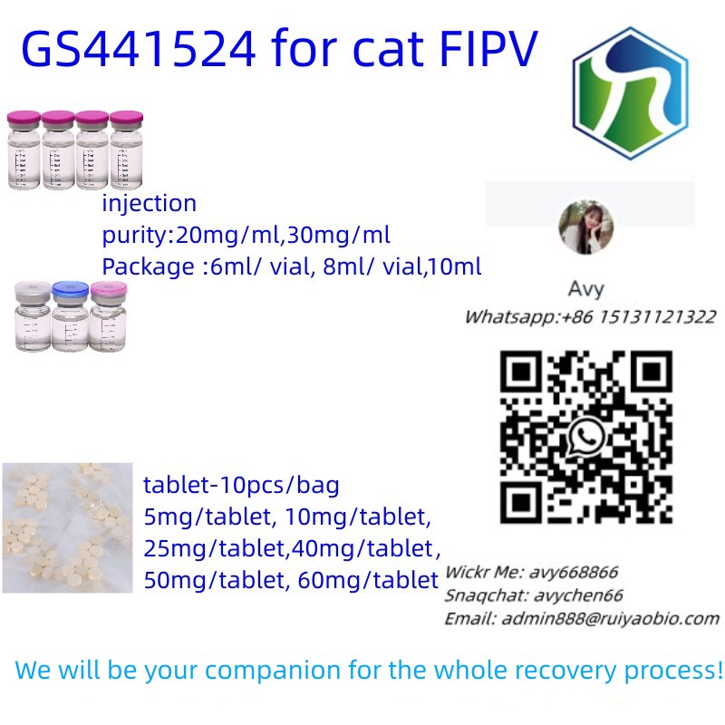 GS-441524 Powder CAS 1191237-69-0