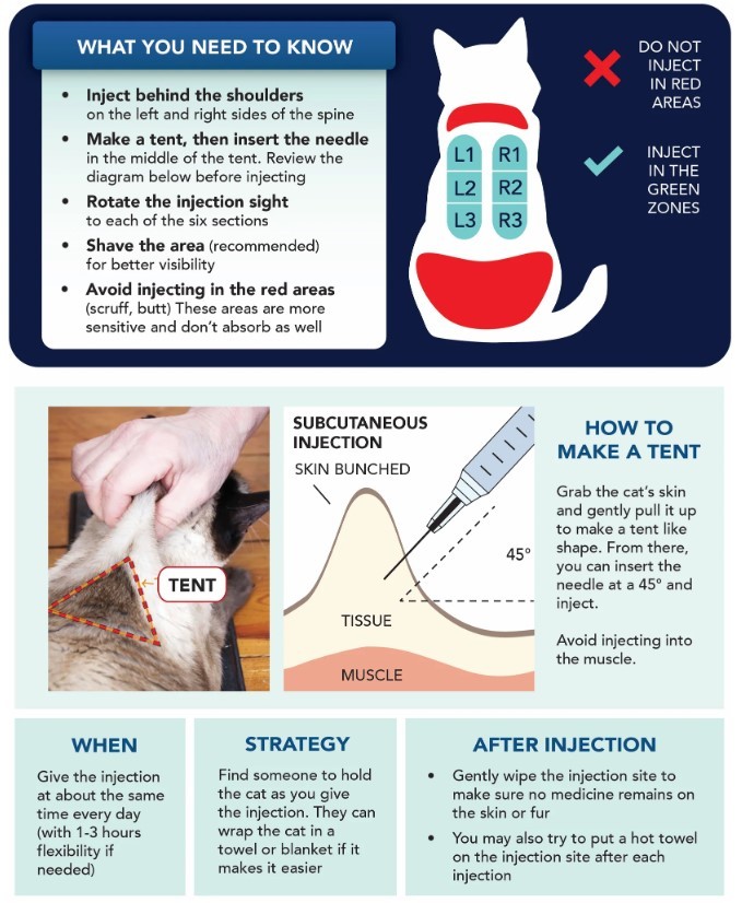 gs injection for fip