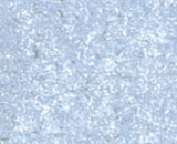 DX51D+Z Galvanized Steel Sheet