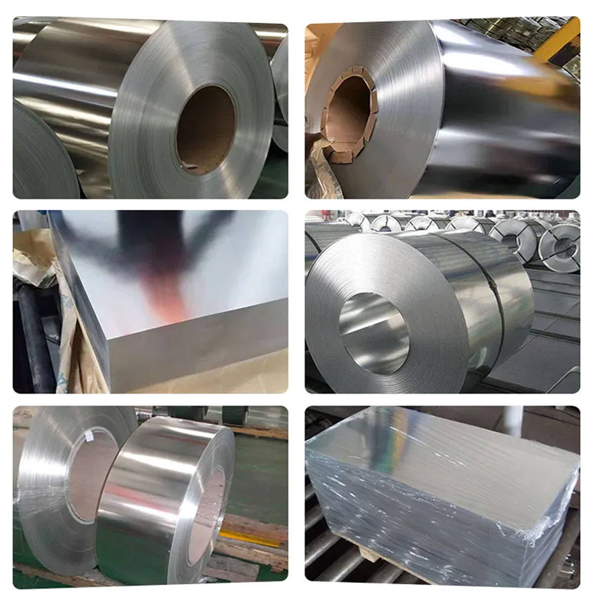 M19 Electrical Steel