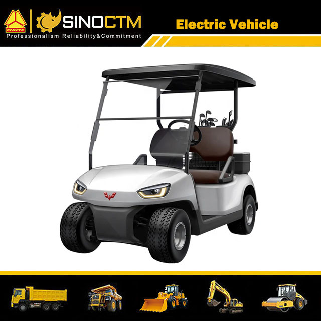 La Chine a fait une voiture de club de golf 2 places voiturette de golf électrique/voiture de golf/voiture