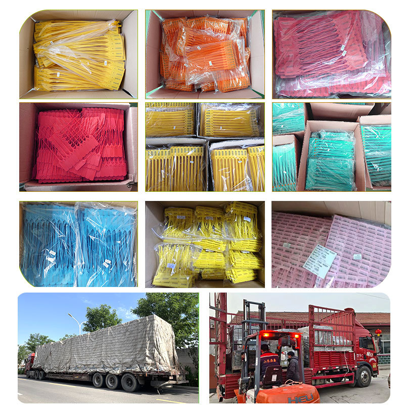 塑料封包装.jpg Factory Wholesale Security Plastic Seal DX6-103P