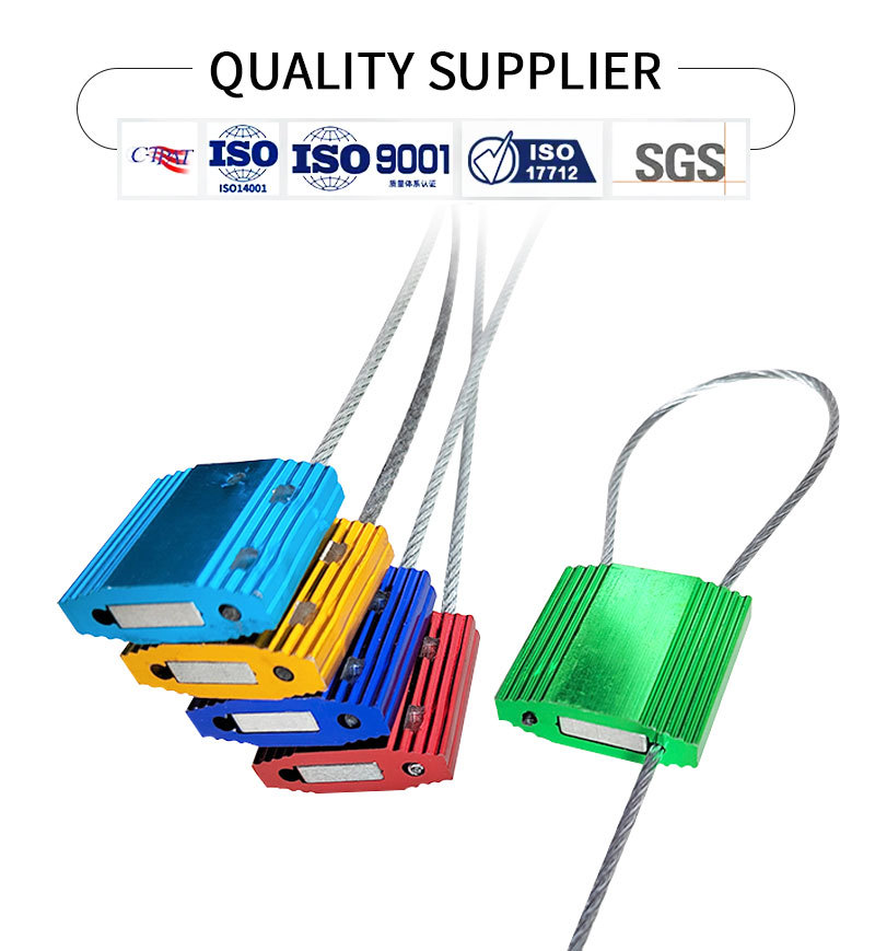 详情页-改_01.jpg Container Seal Lock Manufacturer Cable Lock Seal DX205C