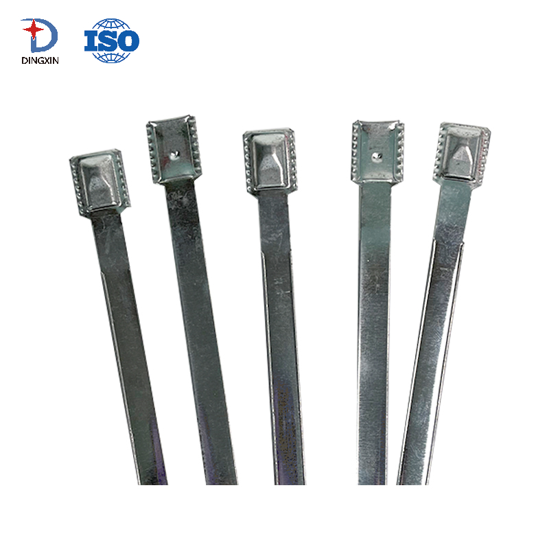 Flat Security Container Metal Strap Seal DX801MS