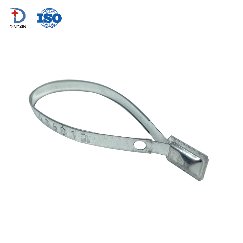 Flat Security Container Metal Strap Seal DX801MS