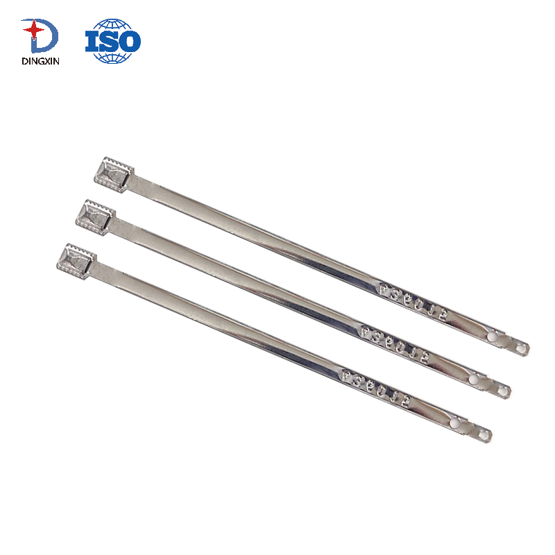 Flat Security Container Metal Strap Seal DX801MS