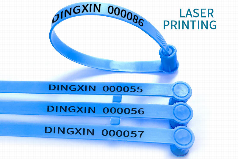 Plastic Security Seal Tag Bank DX6-402P