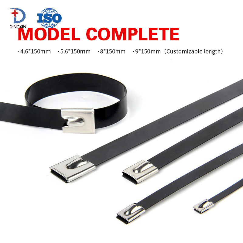 Stainless Steel Black Cable Tie DX401CT