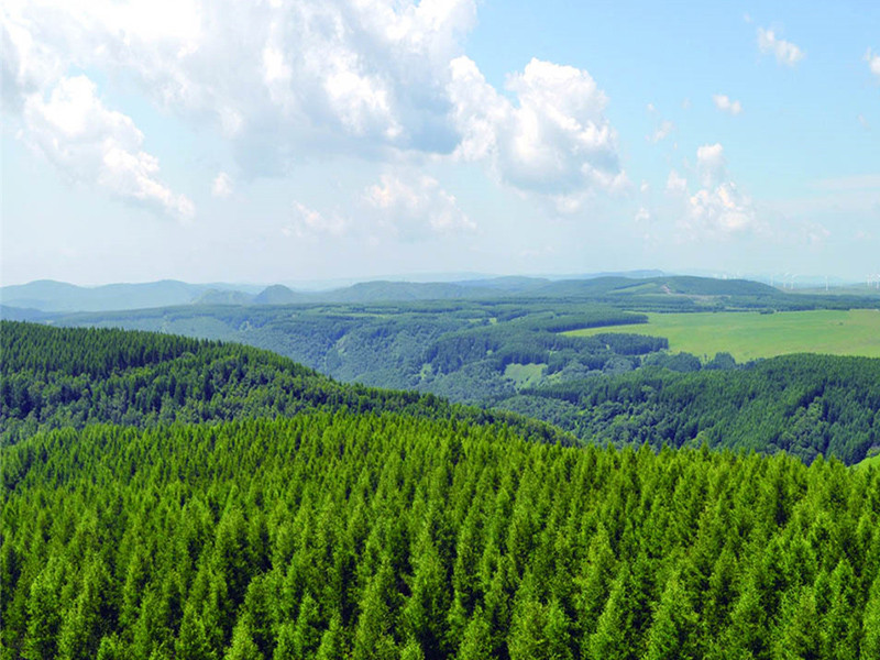 Reserva natural del bosque nacional de Fujian de China que utiliza el sistema de gestión de videovigilancia de incendios forestales de Foshvision