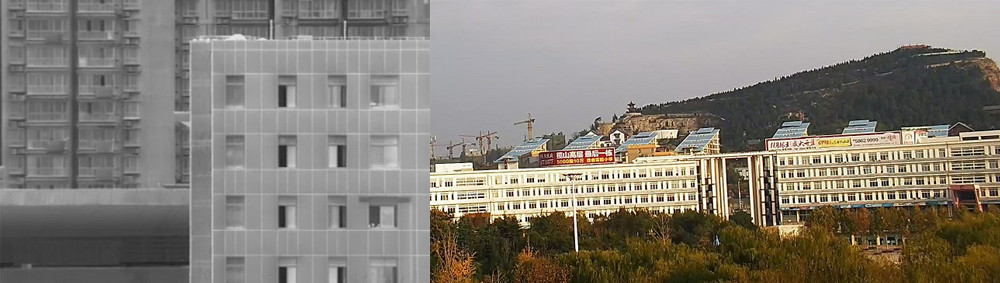 SHR-MIR1000