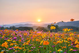 Happy First Day of Autumn