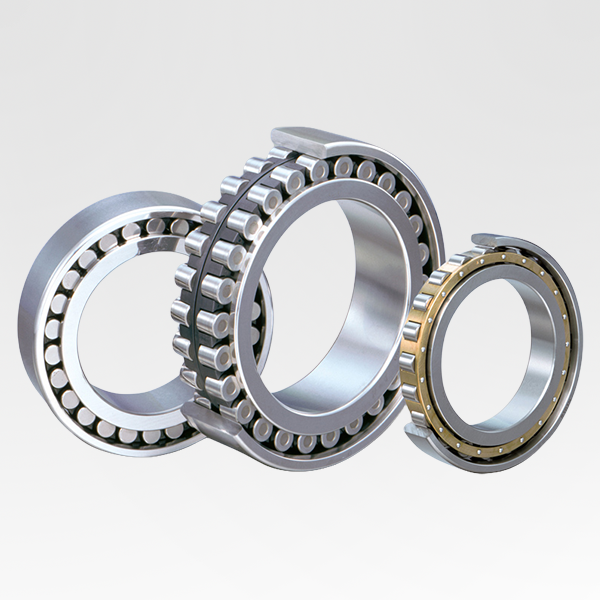 Cylindrical Roller Bearings