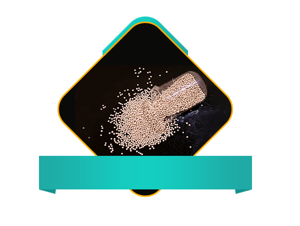 Molecular Sieve (Desiccant/Adsorbent/Catalyst)