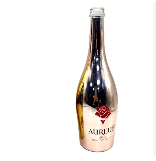 Bouteille de Champagne 28