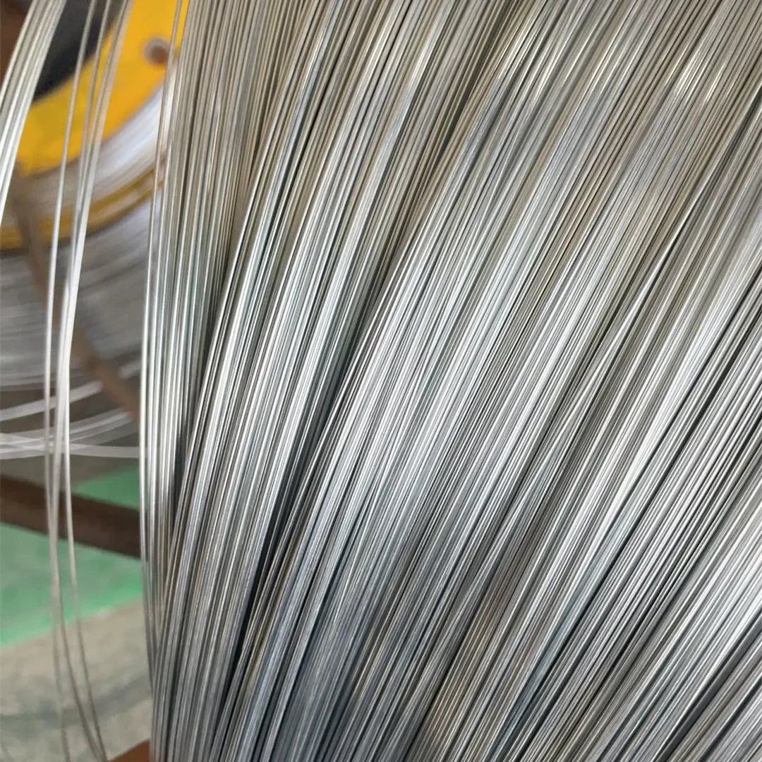 Hot Dipped Galvanized Steel Wire