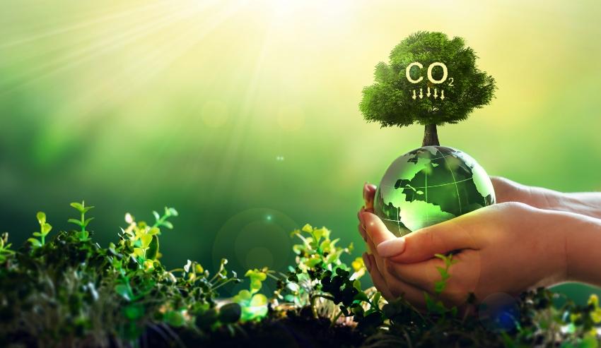 Germany seeks to accelerate the development of carbon storage infrastructure Germany seeks to accelerate the development of carbon storage infrastructure