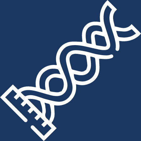 3_Steel Strand.jpg