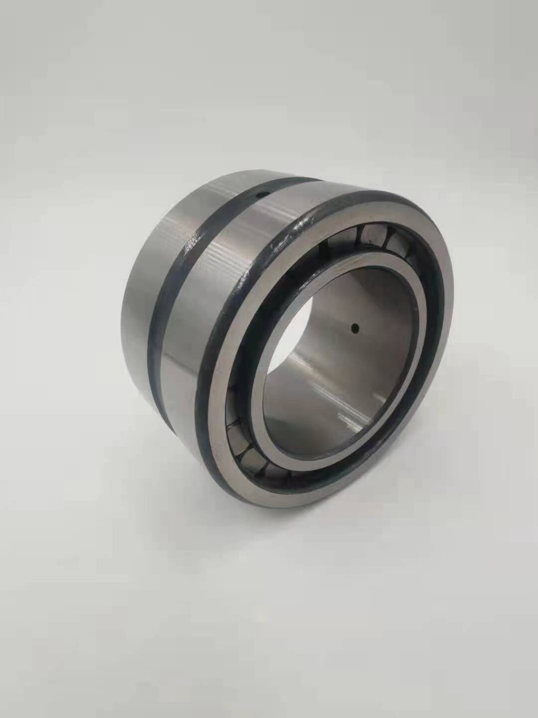 INA SL bearings